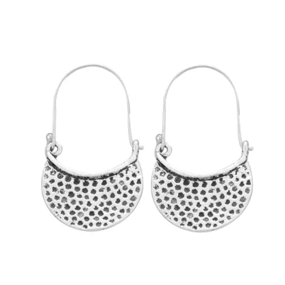 Women's Silver Plated Hook Dangler Hanging Earrings-Silver