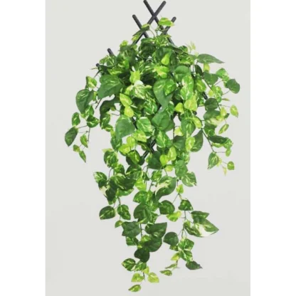 Pack Of 5 Silk Polyester Artificial Money Plant Leaf Vine Hanging Garland Foliage Flowers Leaf Plants For Wall Decoration (Color: Green,Length: 15 Feet) - Image 2