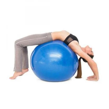 Burst Exercise Gym Ball 75cm with Pump (Color: Assorted) - Image 5