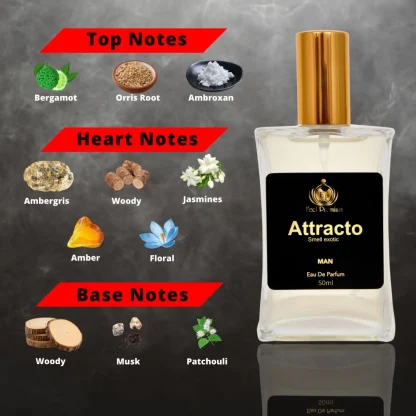 Europa Attracto 50ml Perfume Spray For Men - Image 6