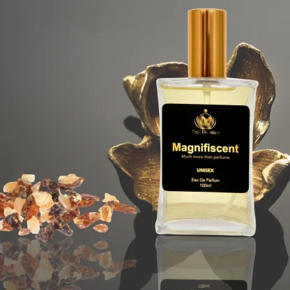 Europa Magnifiscent 100ml Perfume Spray For Men And Women - Image 2