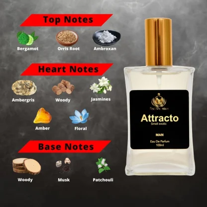 Europa Attracto 100ml Perfume Spray For Men - Image 6