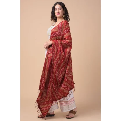 Women's Chanderi Printed Dupatta (Multicolor, Length: 2.25 to 2.50 Mtr) - Image 3