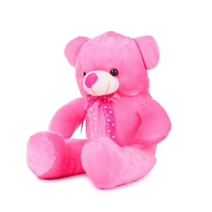 Teddy Bear Toy (Pink) - Image 2