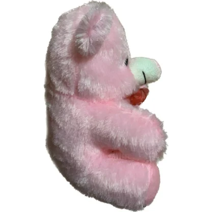 Lovely Teddy Bear (Pink) - Image 3