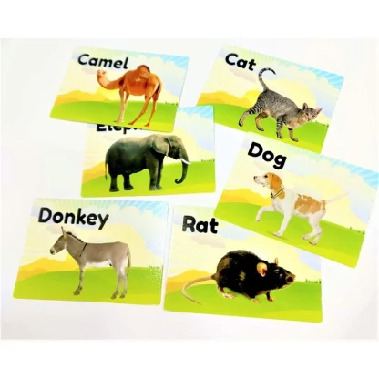 Flash Card-Animal | Plastic | Educational Toys | 6+ Months - Image 4